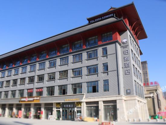 Platinum Ya Hotel — hotel in Linquan