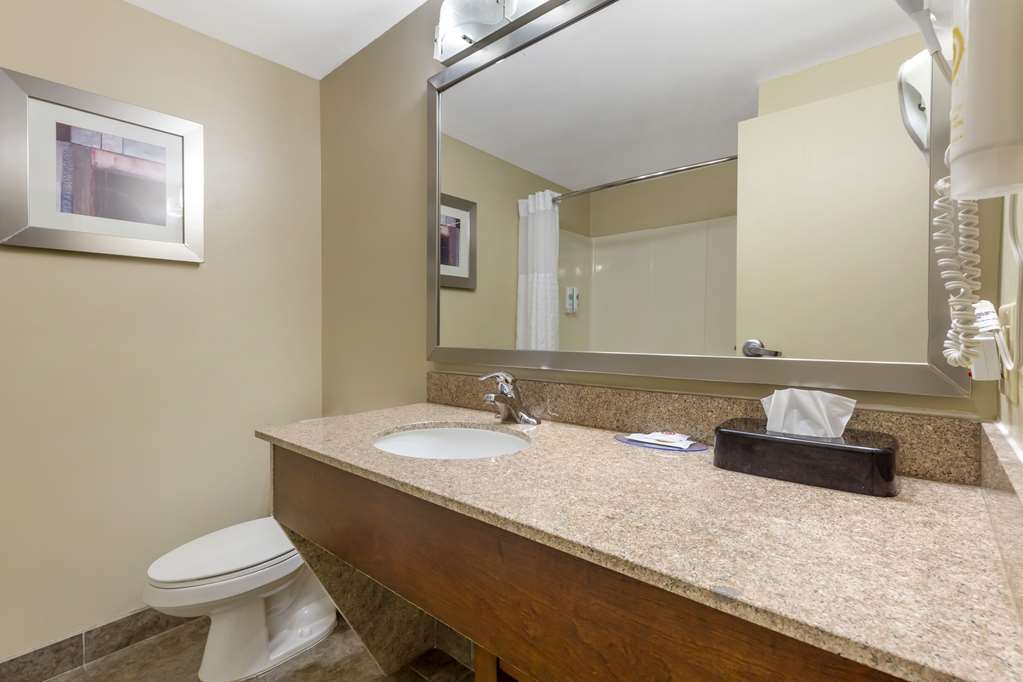 Comfort Suites Inn at Ridgewood Farm - photo 16
