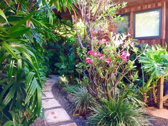 The ilikahi - photo 4