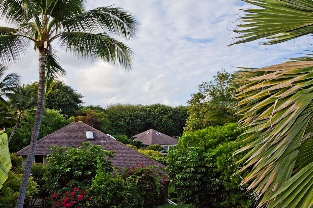 Poipu Crater Resort - photo 19