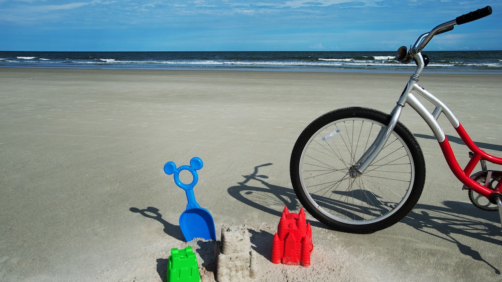 Disney's Hilton Head Island Resort - photo 46