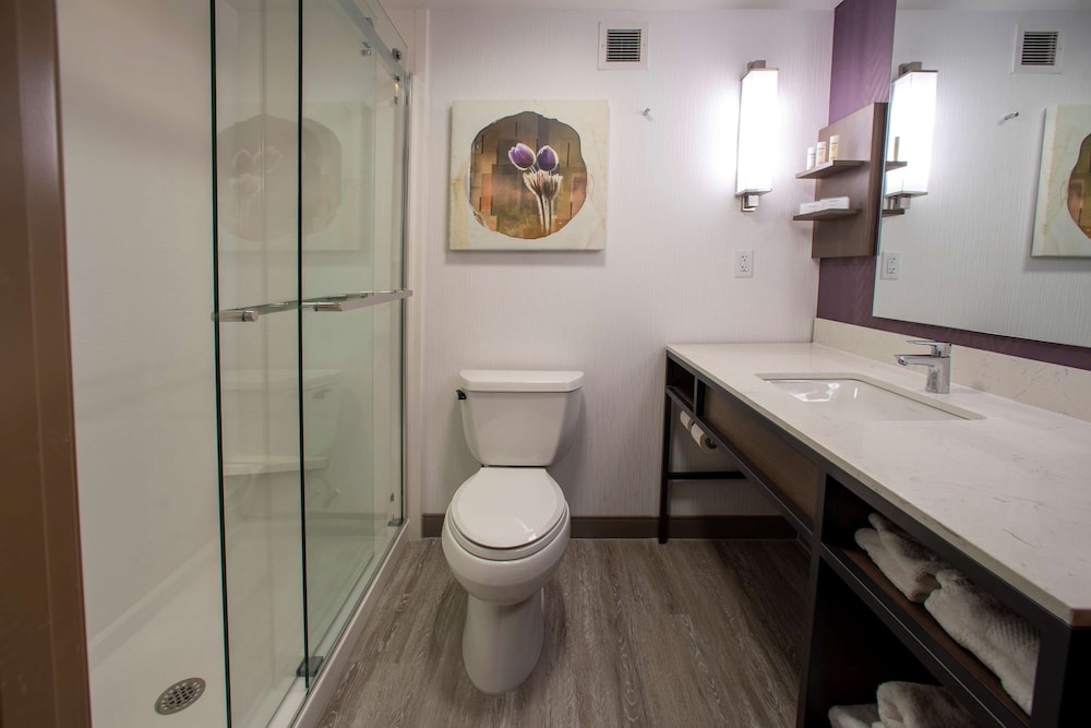 Hilton Garden Inn Rapid City - photo 49