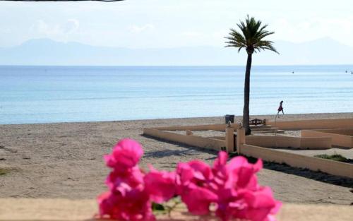 Seaside Houses in Port D'alcudia, Spain