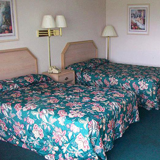 Irish Inns - photo 8