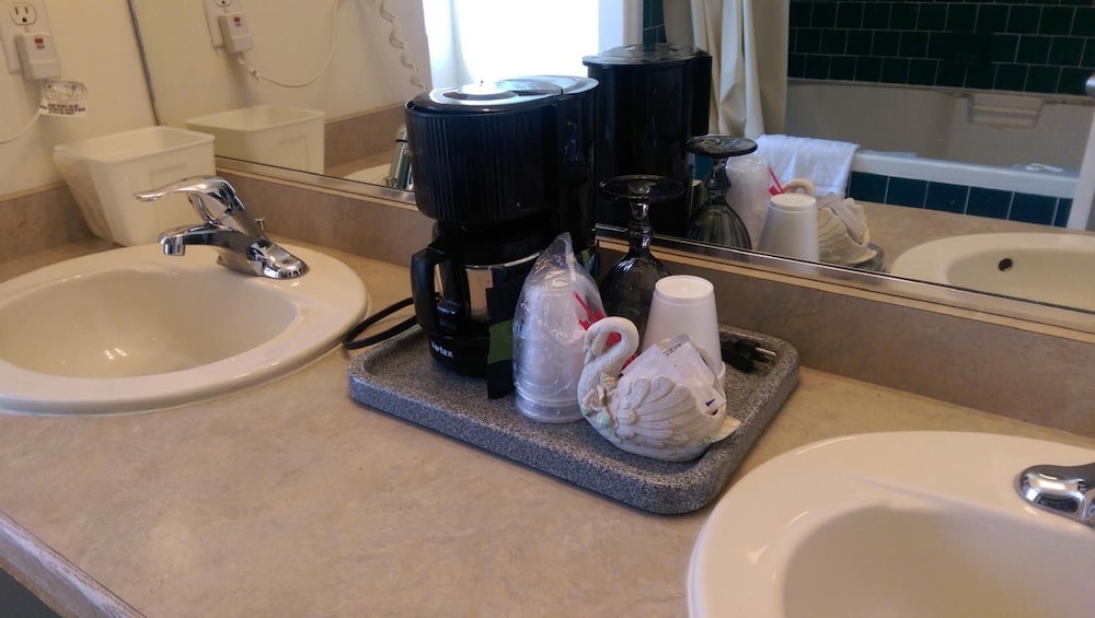 Holland Inn & Suites - photo 36