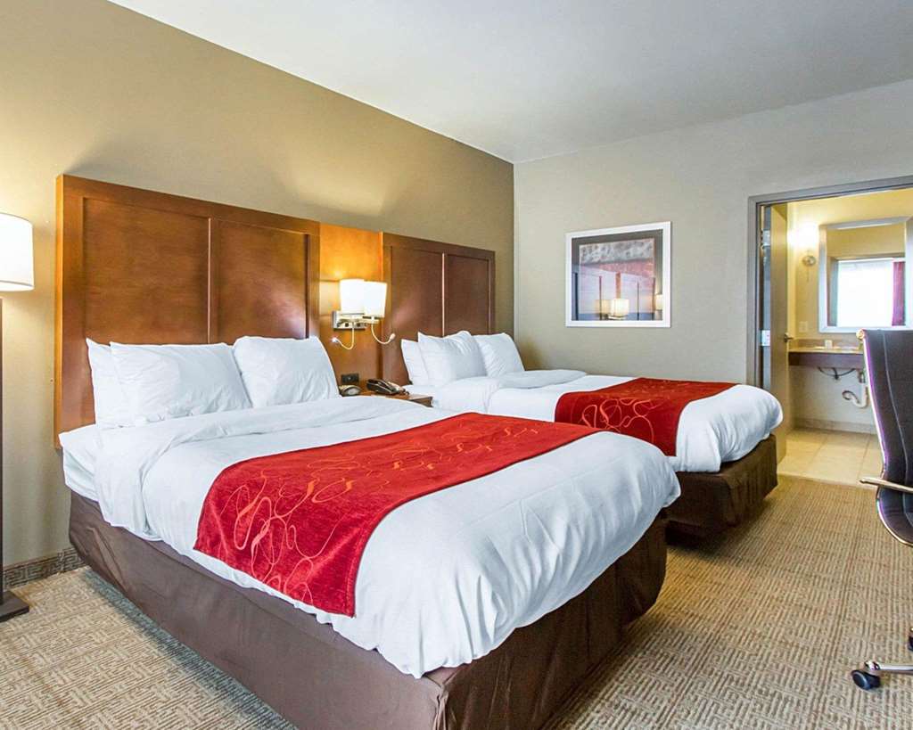 Comfort Suites Abilene Central - photo 8
