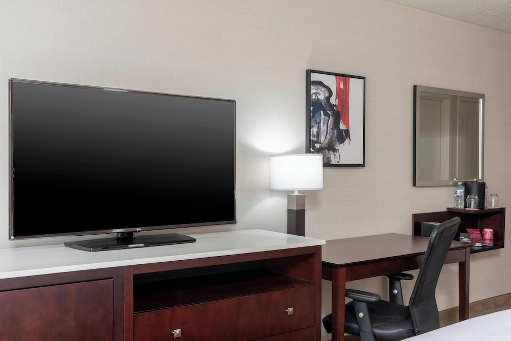 Delta Hotels by Marriott Kalamazoo Conference Center - photo 10