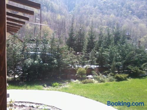 Pensiunea Perla — Cugir — photo 3
