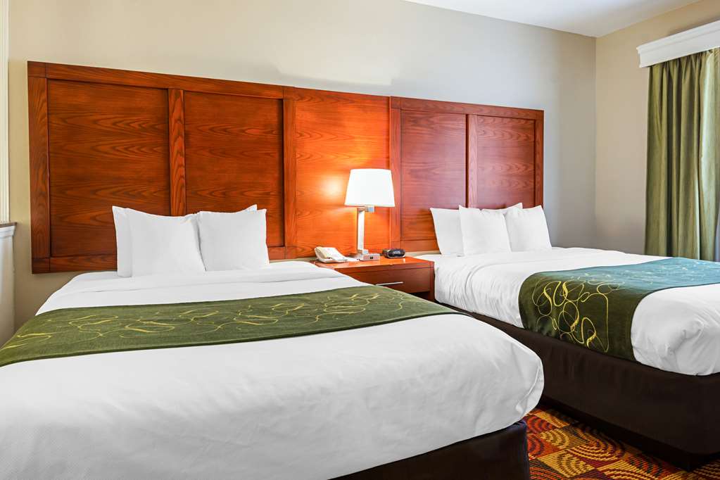 Comfort Suites Lake Charles - photo 17