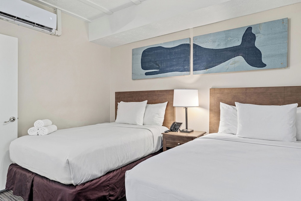 Sandpiper Beacon Beach Resort - photo 94