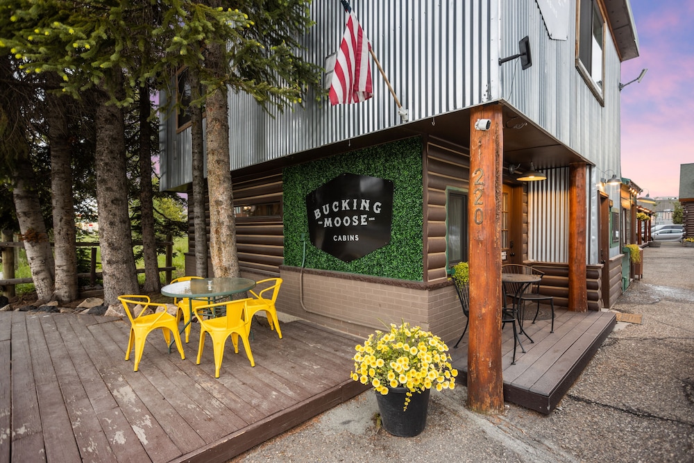 The Bucking Moose - photo 139