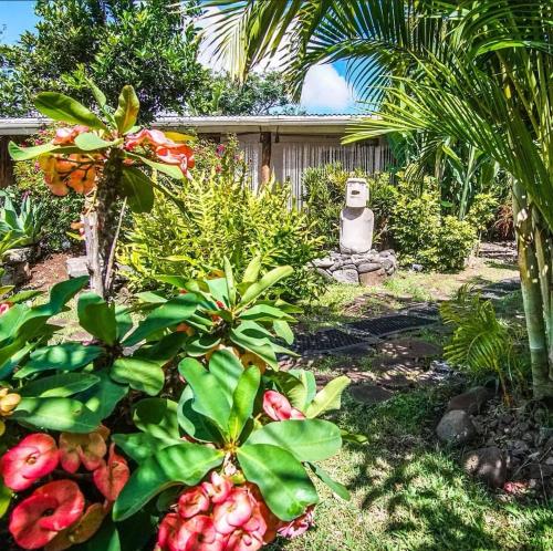 Hare Isolate in Hanga Roa, Chile