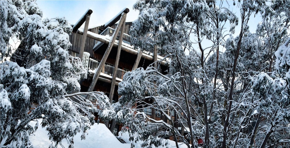 Silverski in Falls Creek, Australia
