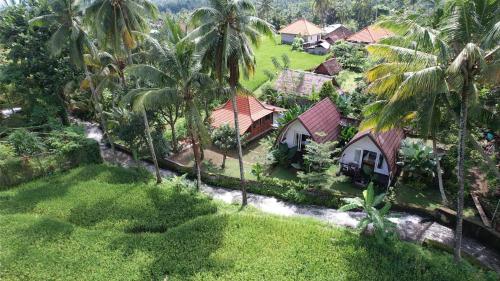 Damuh Pertivi River And Rice Fields View — Sukasada