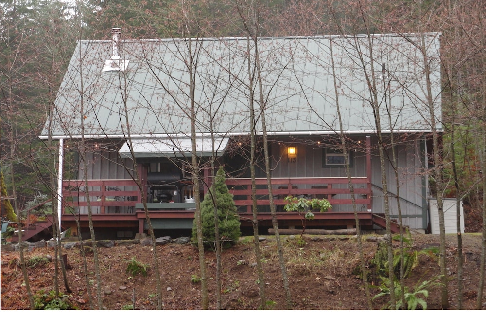 Packwood Family Ski and Vacation Getaway - photo 37
