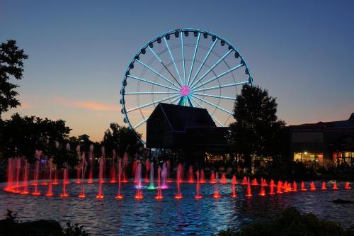 Bear End Relax in Hot Tub Specials FREE Area Attraction Tickets - photo 31