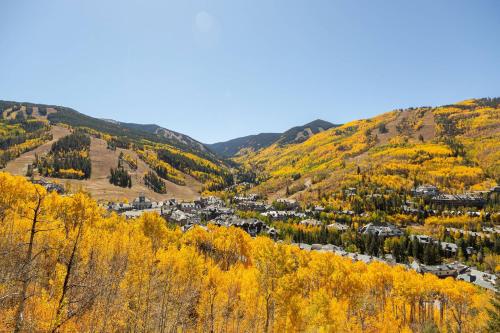 Luxury Charter Studio Vacation Rental With Quick Access to the Ski Slopes and Beaver Creek Village - photo 5
