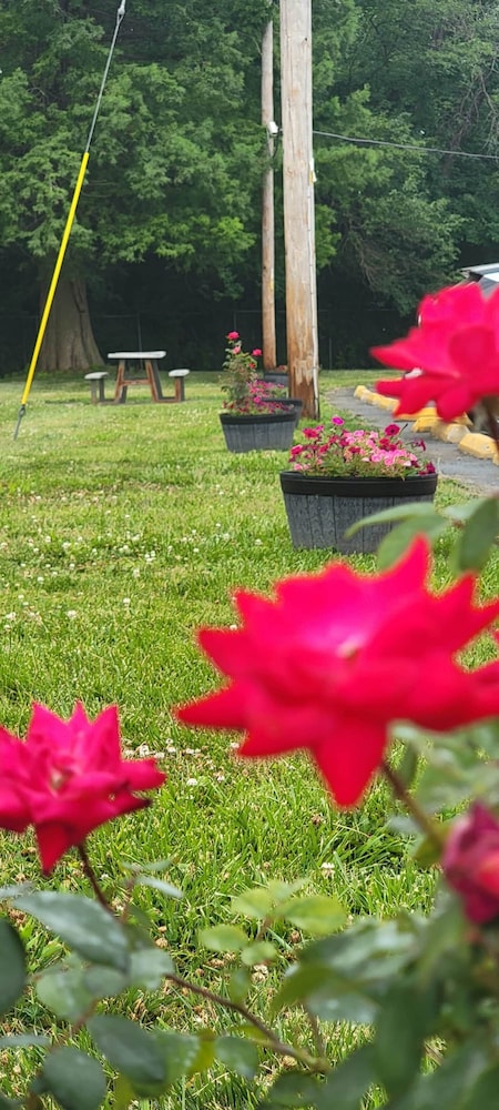 Royal Relax Inn - photo 10