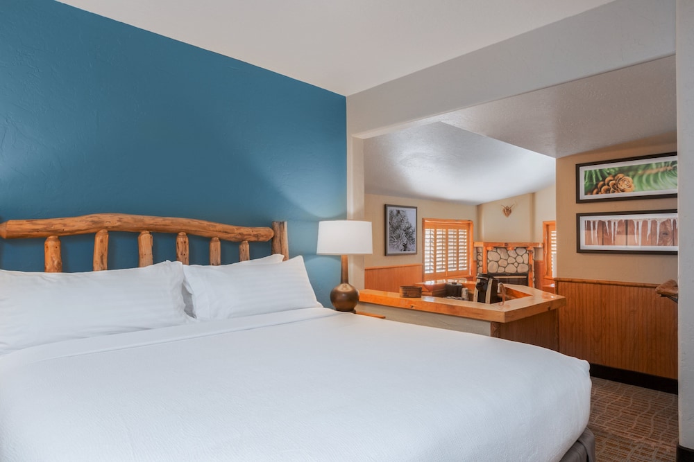Holiday Inn Resort The Lodge At Big Bear Lake by IHG - photo 21