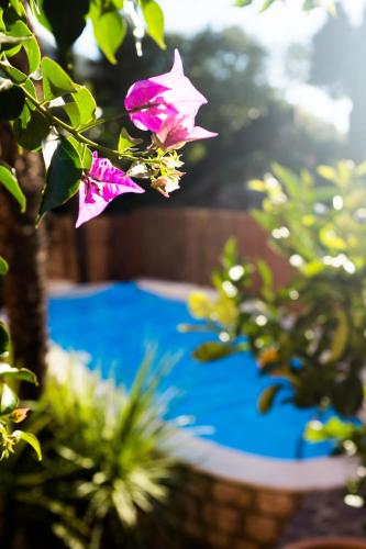 Villa Fiore — 4-Star Luxury Hotel in Nago-Torbole, Italy
