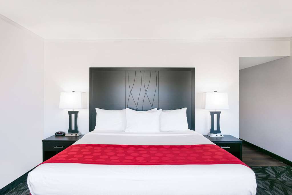 Ramada by Wyndham Tuscaloosa - photo 18