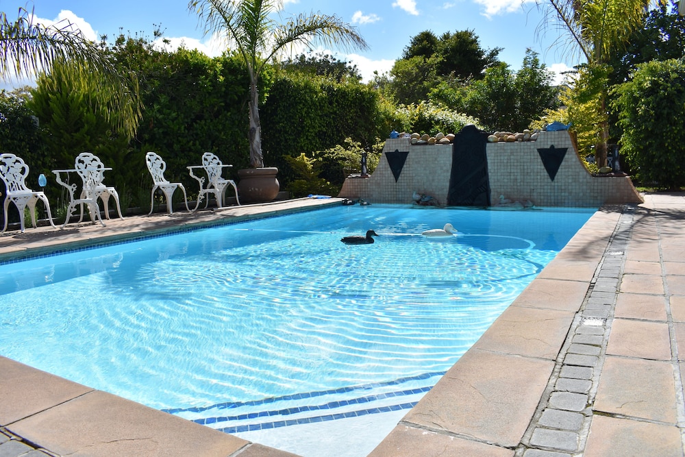 Paradiso Guest House — 4-Star Luxury Hotel in Cape Town, South Africa
