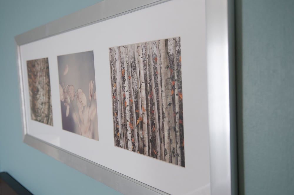 Crowne Plaza Suites Pittsburgh South an IHG Hotel - photo 4