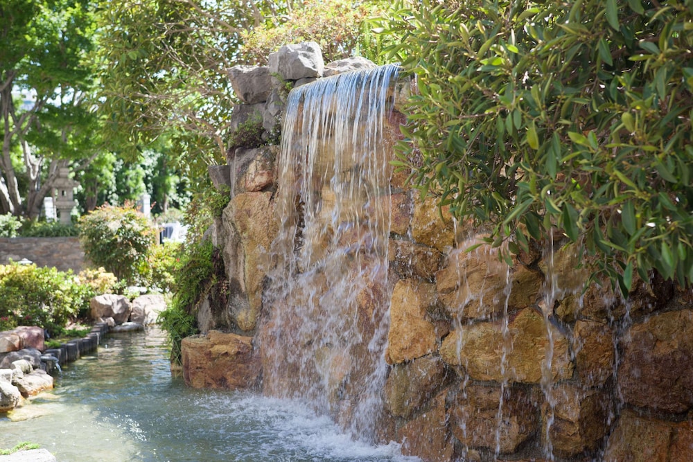 כנסים ואירועים