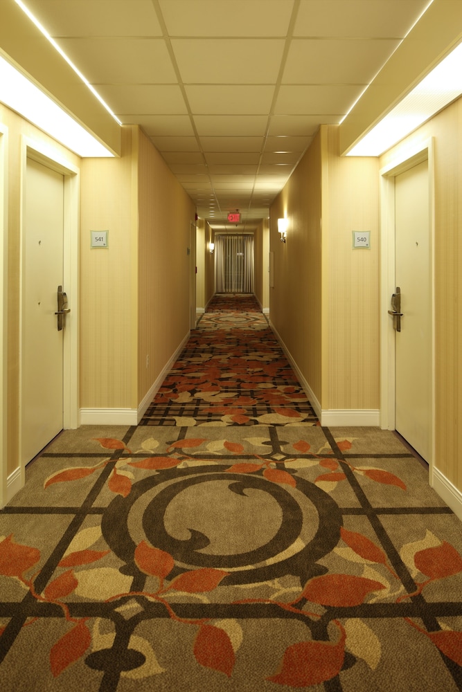 Georgetown University Hotel and Conference Center - photo 14