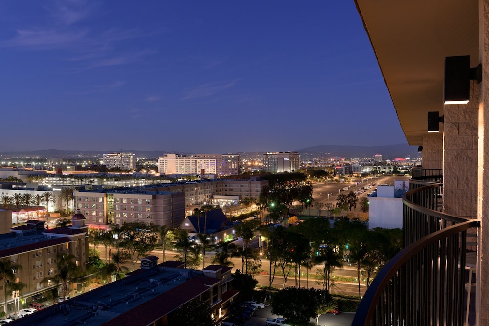 Sheraton Park Hotel at the Anaheim Resort - photo 79
