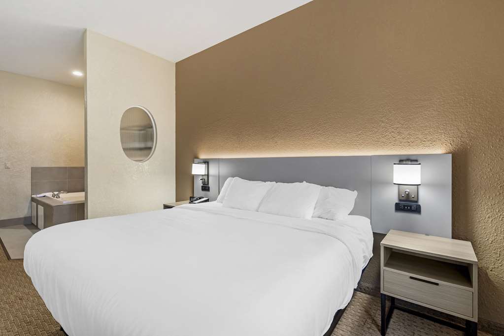 Comfort Suites Merrillville near US 30 - photo 17