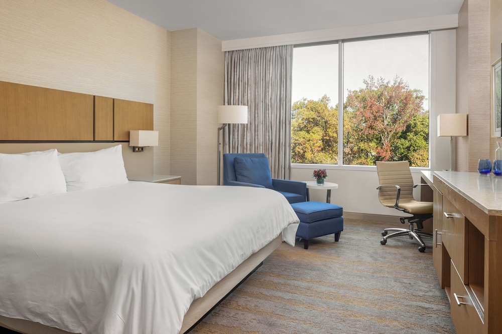 JB Duke Hotel - photo 11