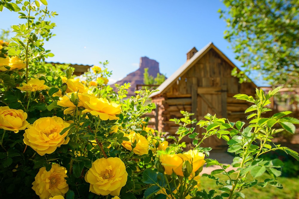 Sorrel River Ranch Resort & Spa - photo 86