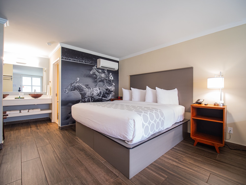 Equus Inn Ocala - photo 10