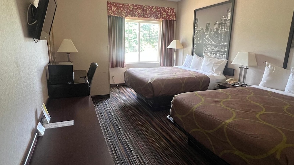 Super 8 By Wyndham Albany - photo 25