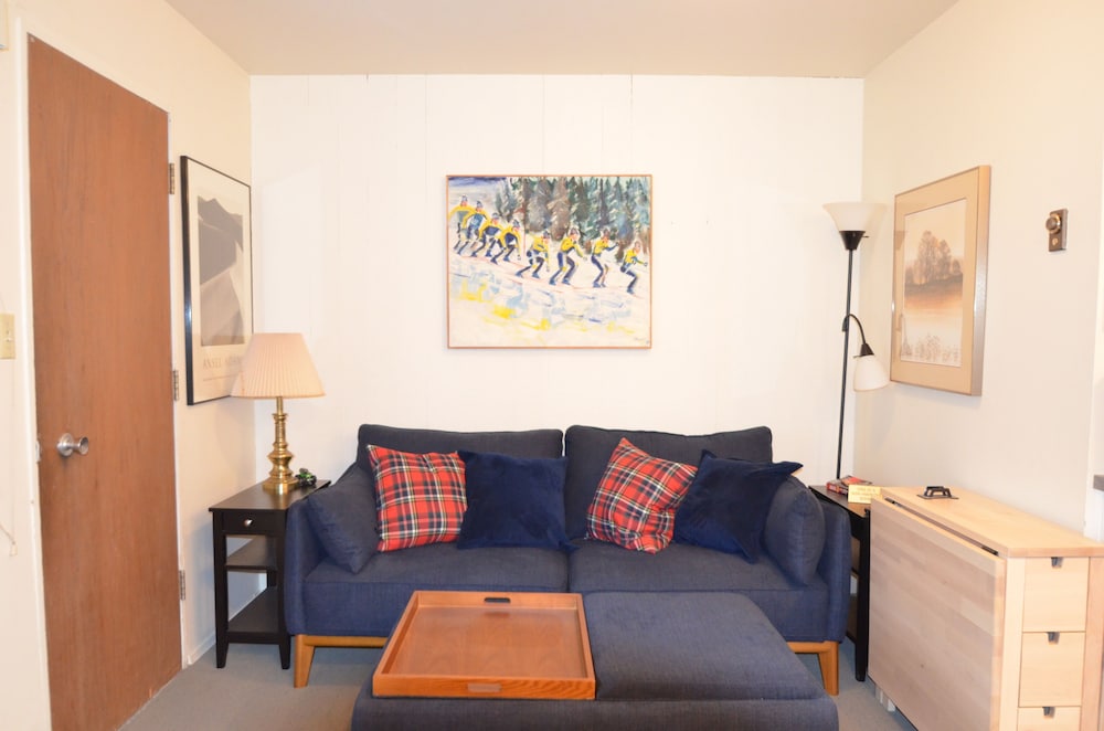 Crystal Chalets Condominiums at Crystal Mountain Ski Resort - photo 125