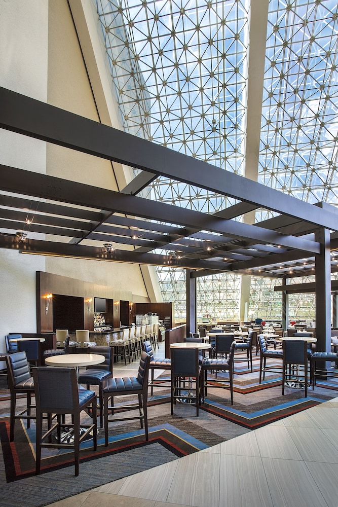 Hilton Bellevue - photo 43