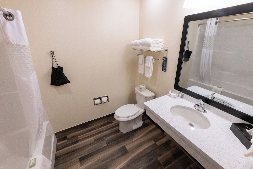 Cobblestone Inn & Suites Sheldon - photo 27
