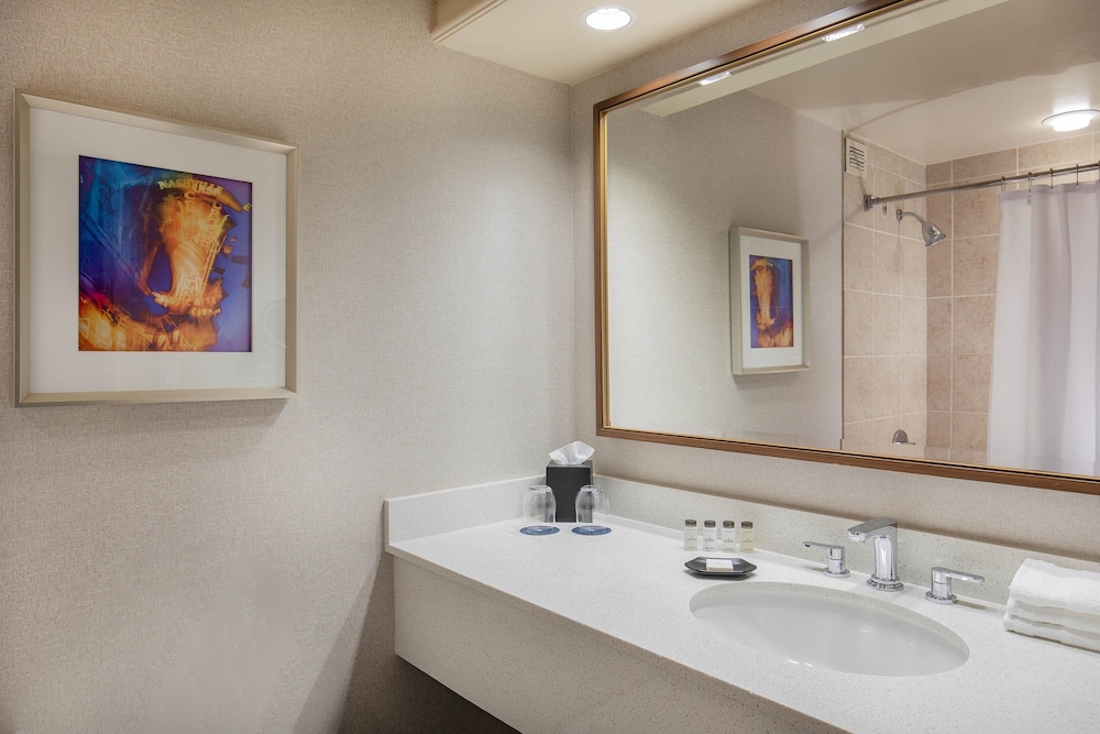 Sheraton Music City Nashville Airport - photo 26