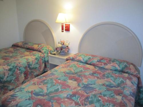 Apollo Resort Motel - photo 18