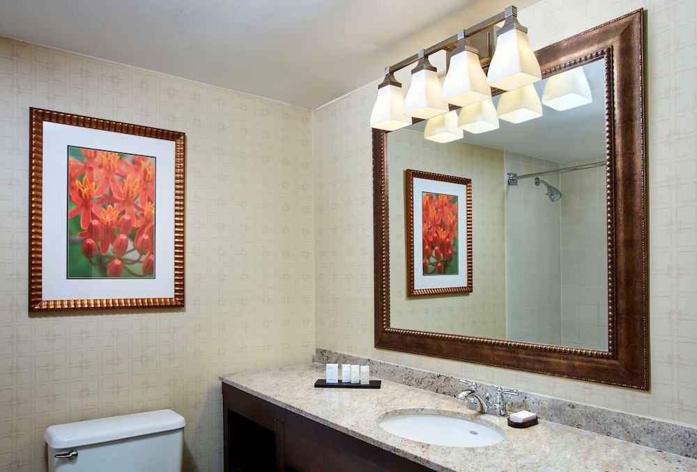 Embassy Suites by Hilton Parsippany - photo 25