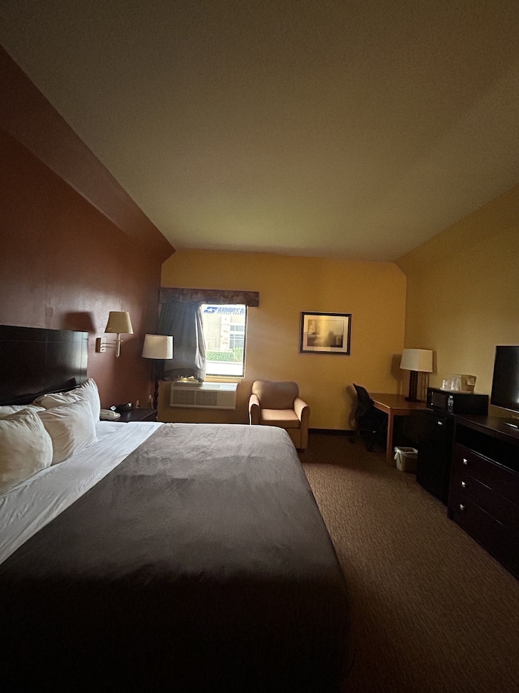 Comfort Inn Near Medical Center - photo 7