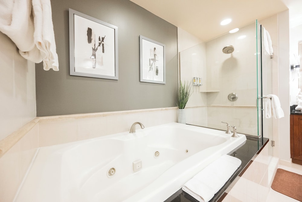 StripViewSuites at Signature - photo 244