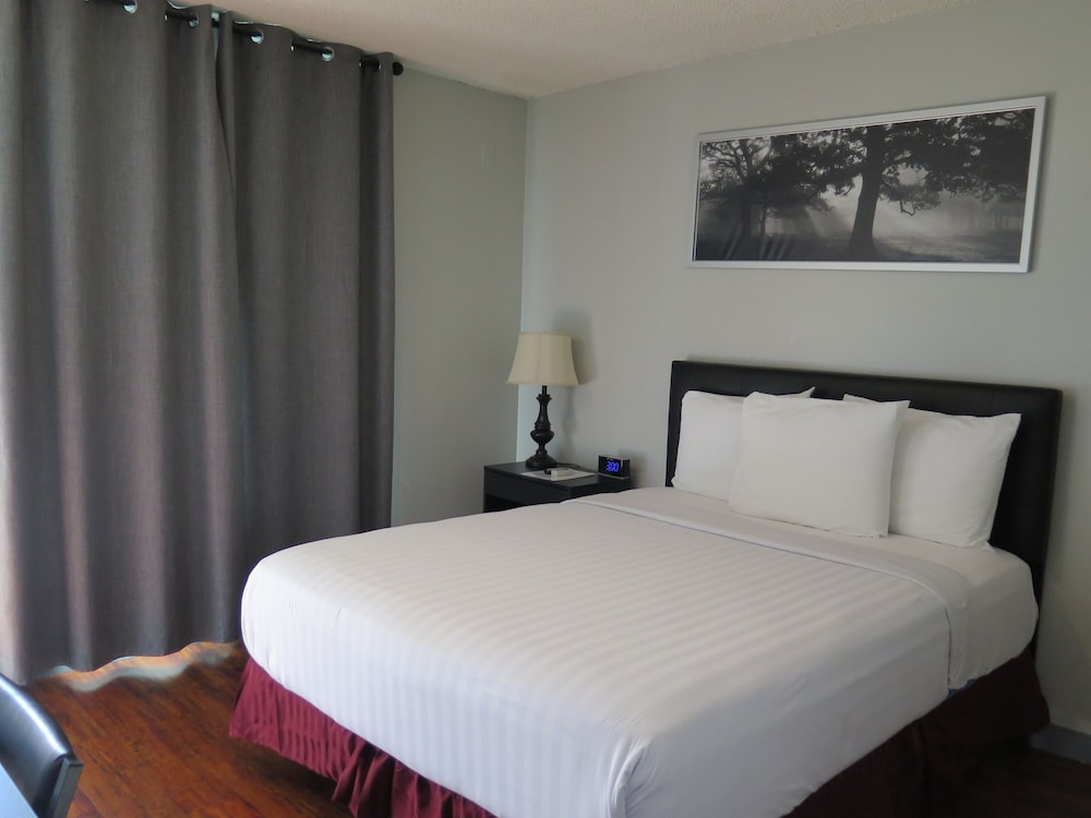 Dtla Hotel - photo 4