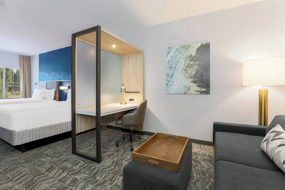 SpringHill Suites by Marriott Truckee Lake Tahoe - photo 12