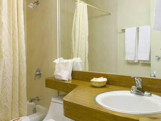 Super 8 Alexandria - photo 11