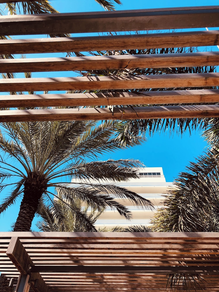 Nobu Hotel Miami Beach - photo 222