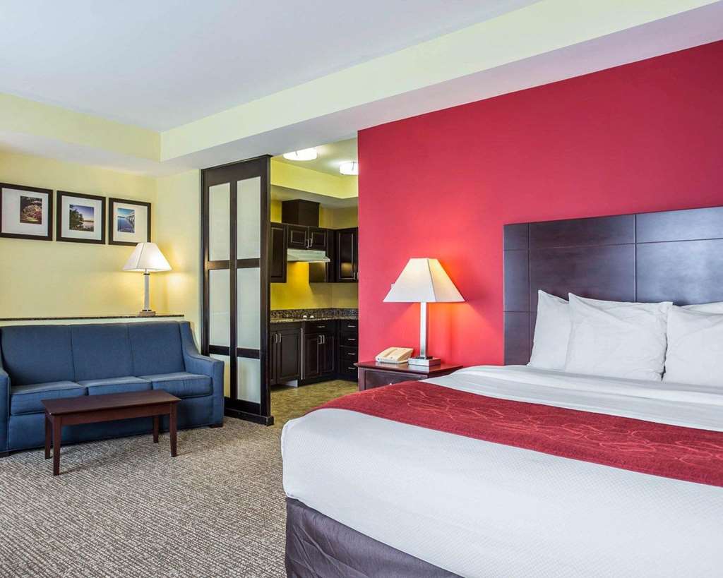 Comfort Suites Rock Hill Manchester Meadows Area - photo 7