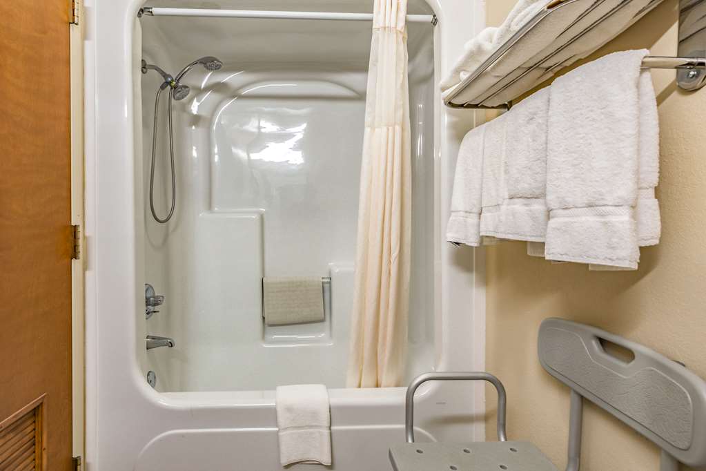 Quality Inn Schenectady Albany - photo 23