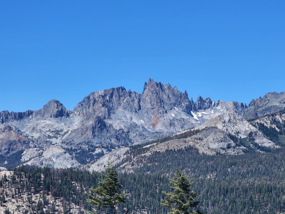 Cinnamon Bear Inn - photo 105
